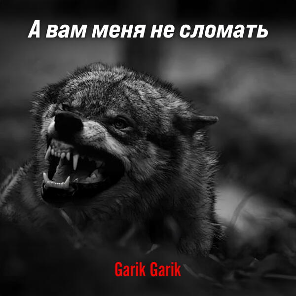 Garik Garik: А вам меня не сломать
