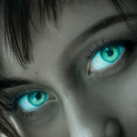 Puls Miasta - Polo Vibes