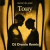 HOLLYFLAME - Тону