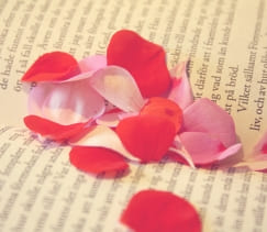 Ari sing - From Body to Soul