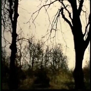 Dj DR4GM4SHROOM – black beatles jumpstyle remix